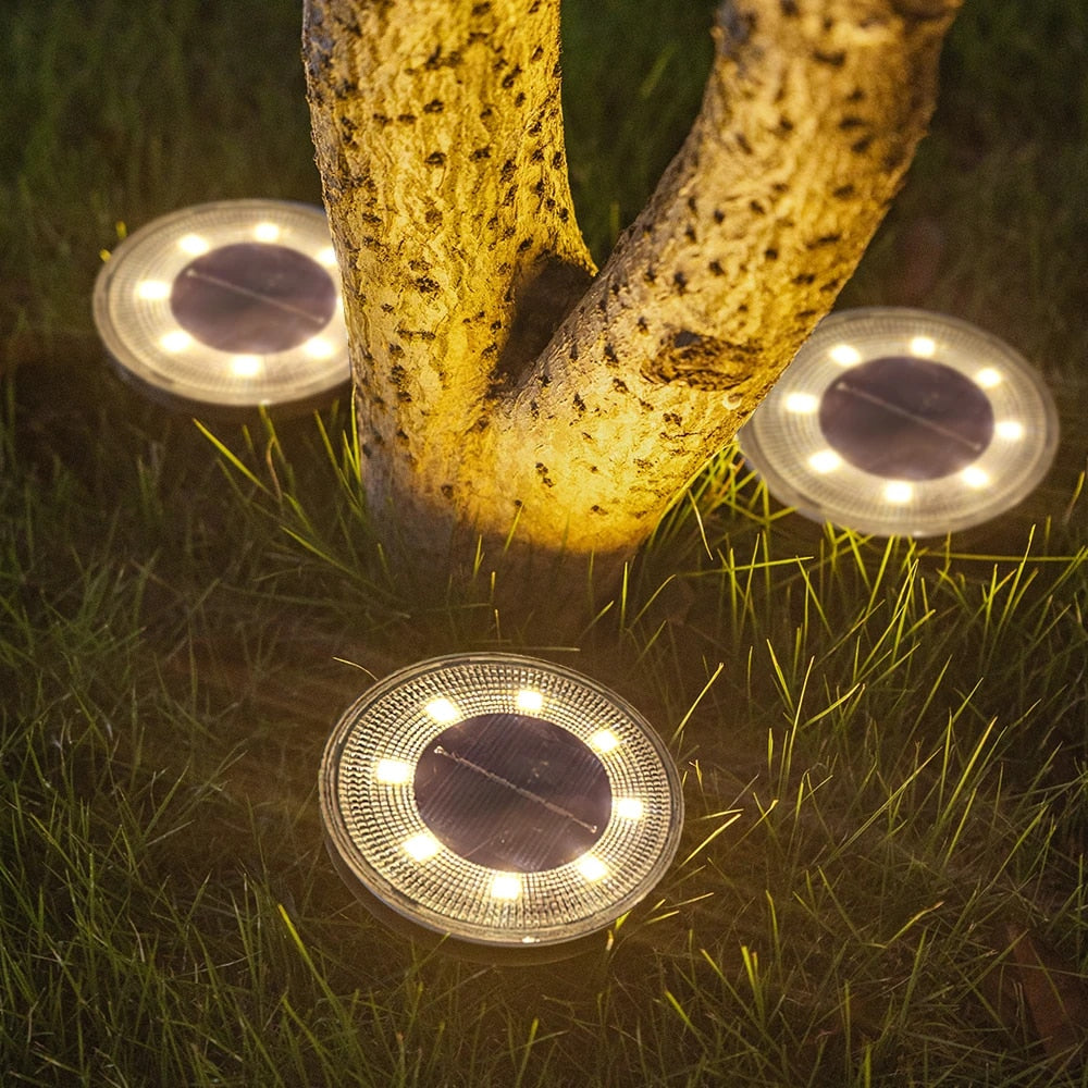 Solar Garden Lights - Waterproof Outdoor LED Lighting
