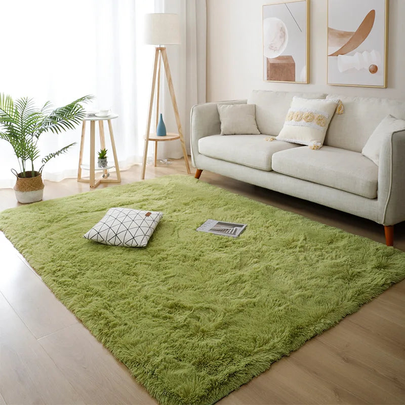 Non-Slip Soft Fluffy Living Room Rug