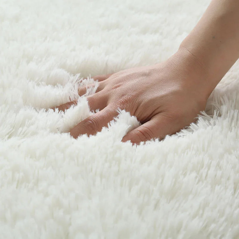 Non-Slip Soft Fluffy Living Room Rug