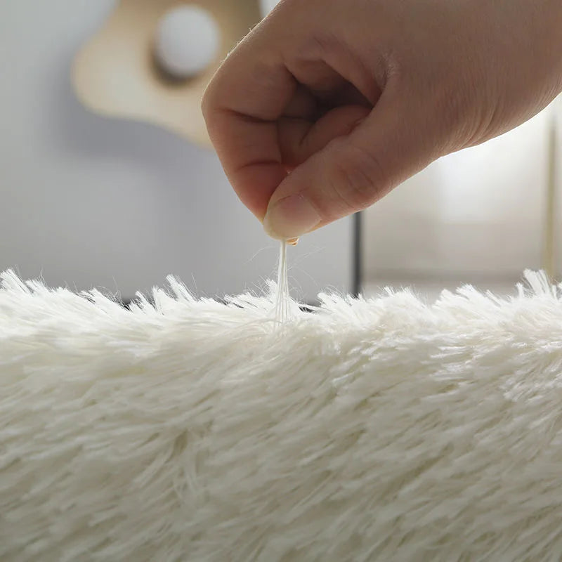 Non-Slip Soft Fluffy Living Room Rug