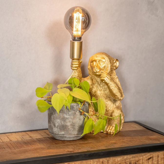 Charming Monkey Lamp with Blooming Accent