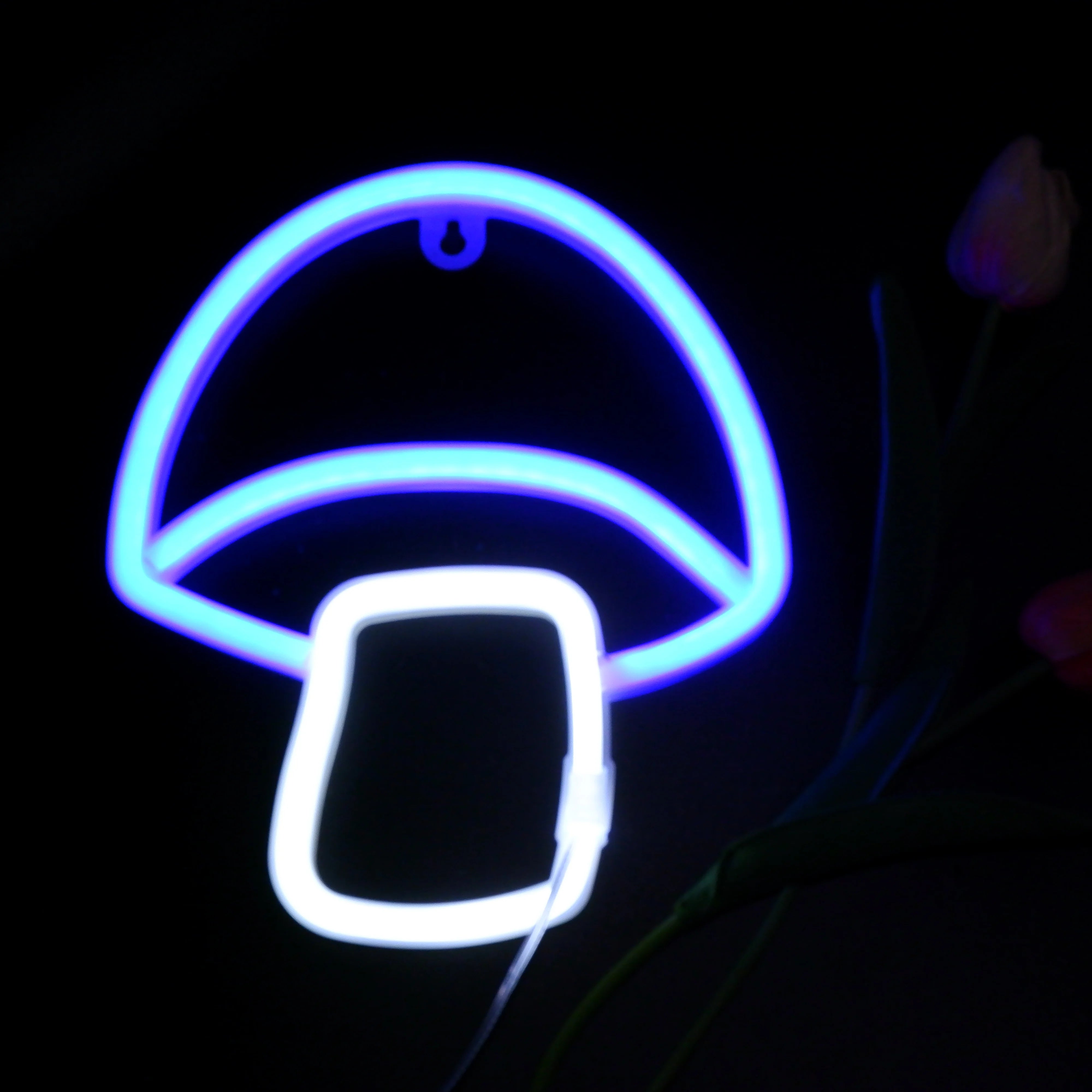 USB & Battery-Powered LED Neon Sign