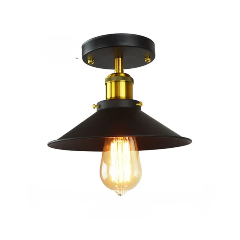 Vintage Ceiling Lamp in Industrial Style, Retro Ceiling Light with Edison Bulb, LED Compatible