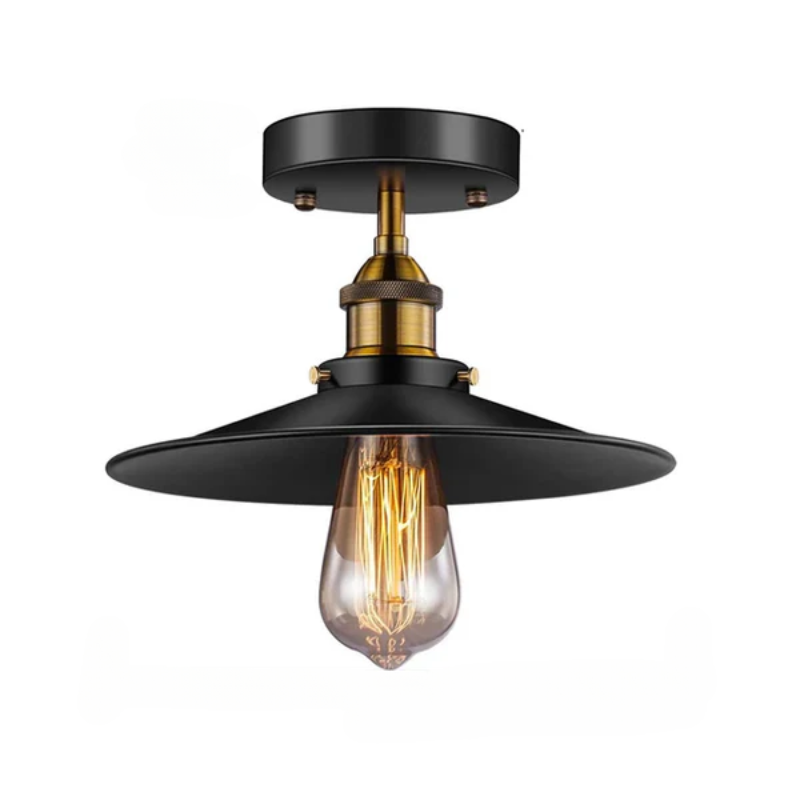 Vintage Ceiling Lamp in Industrial Style, Retro Ceiling Light with Edison Bulb, LED Compatible