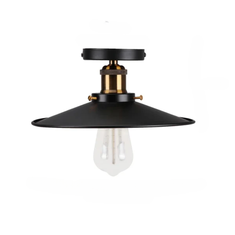 Vintage Ceiling Light in Industrial Style, Metal Lamp for Living Room or Bedroom, LED Compatible