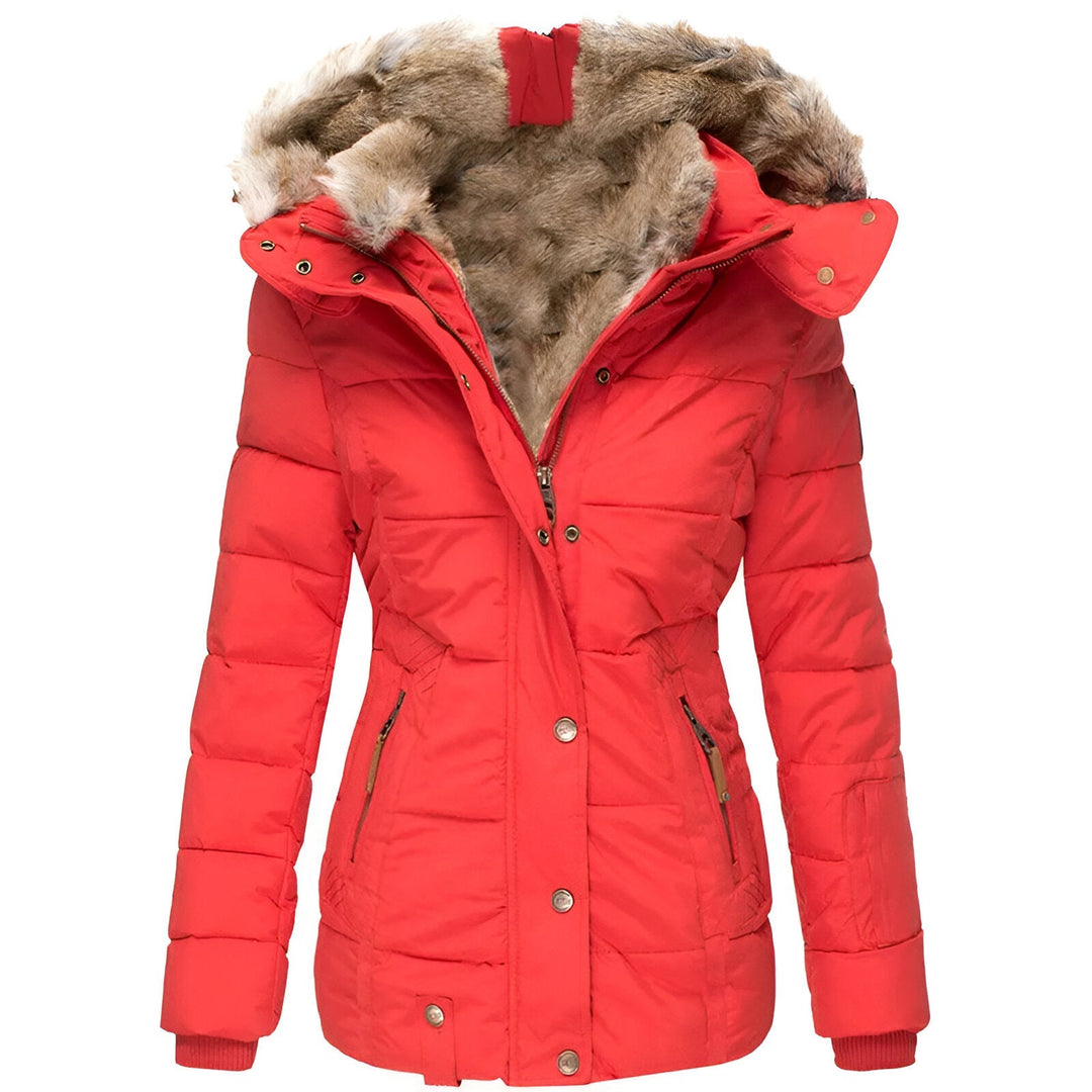 Women's Slim Fit Hooded Jacket | Winter